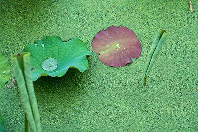 虚幻5引擎打造 恐怖逃生游戏《鸡脚》在Steam发售